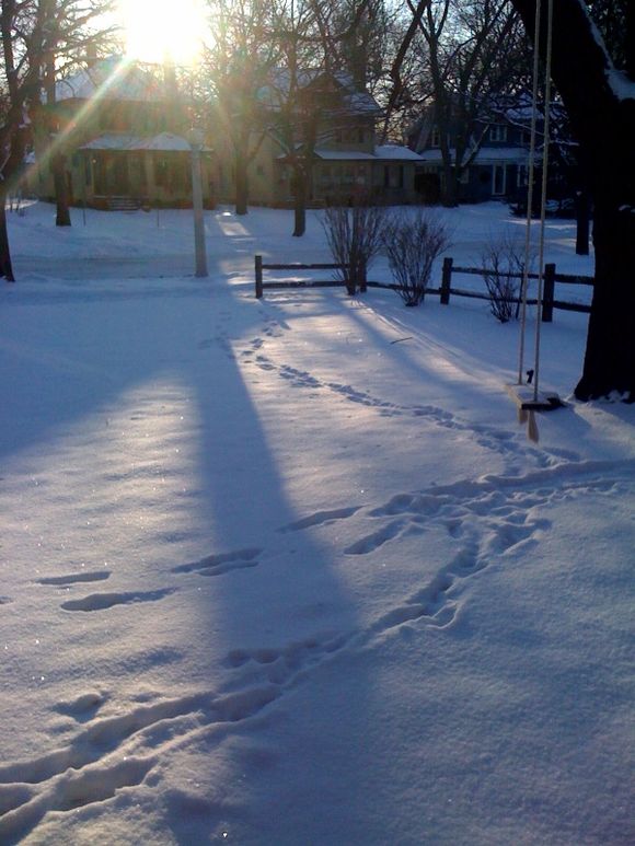 beautiful beginning